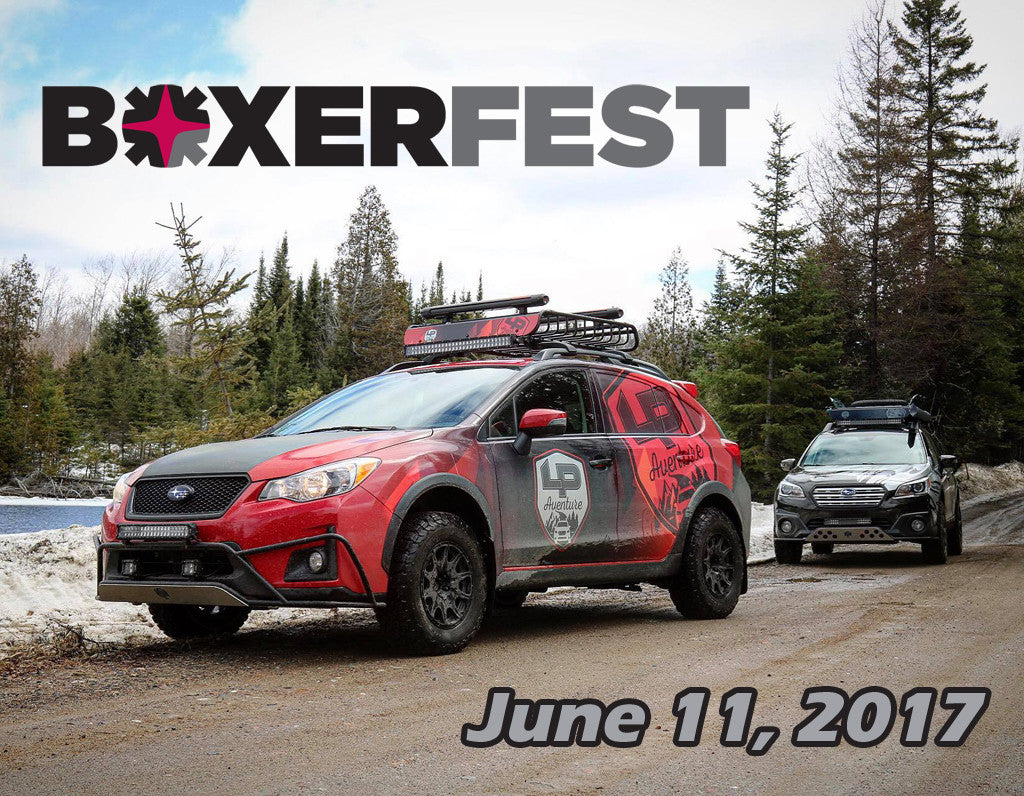 Boxerfest 2017