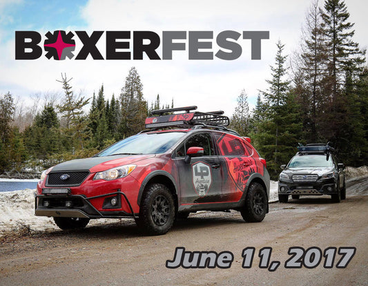 Boxerfest 2017