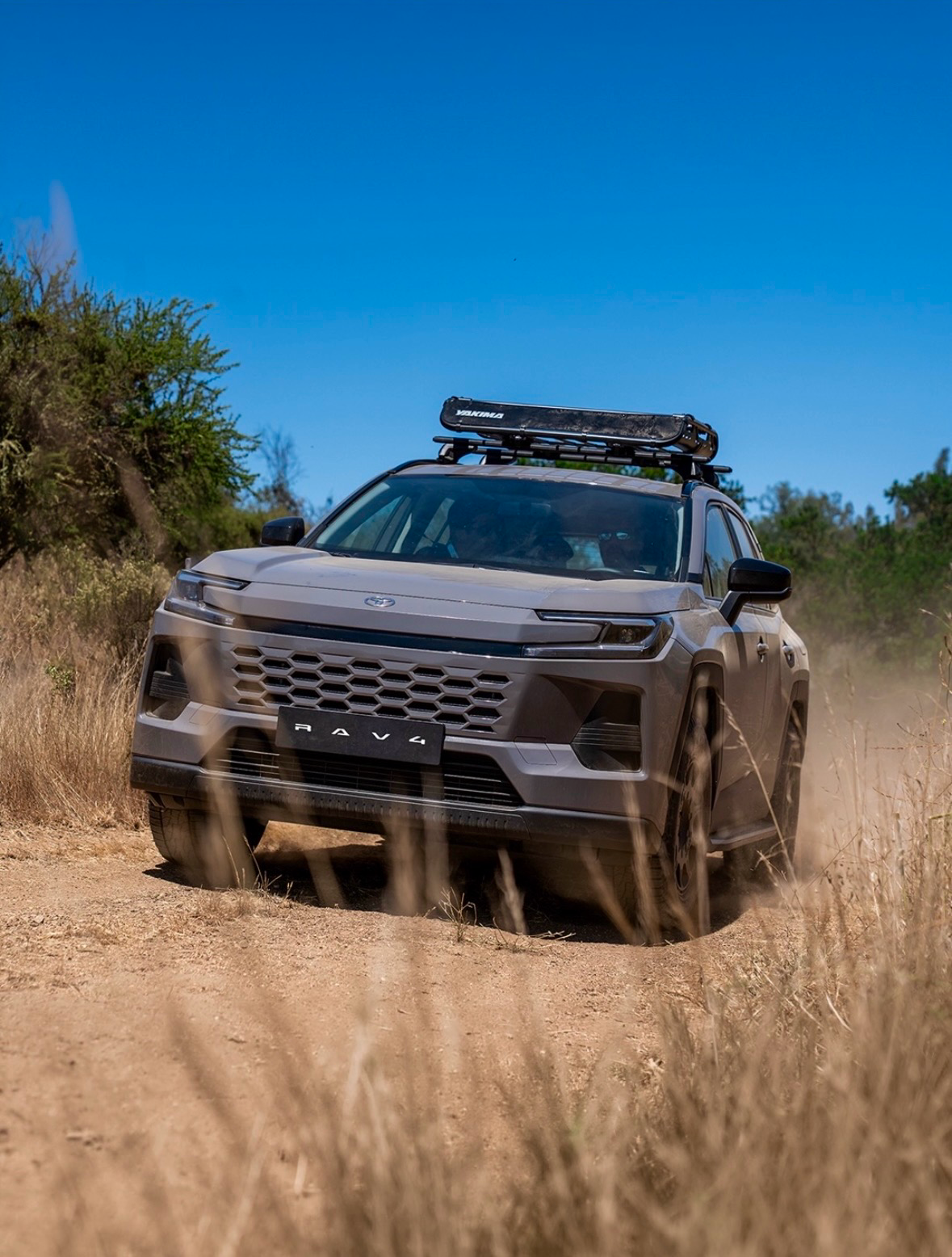 RAV4 2026